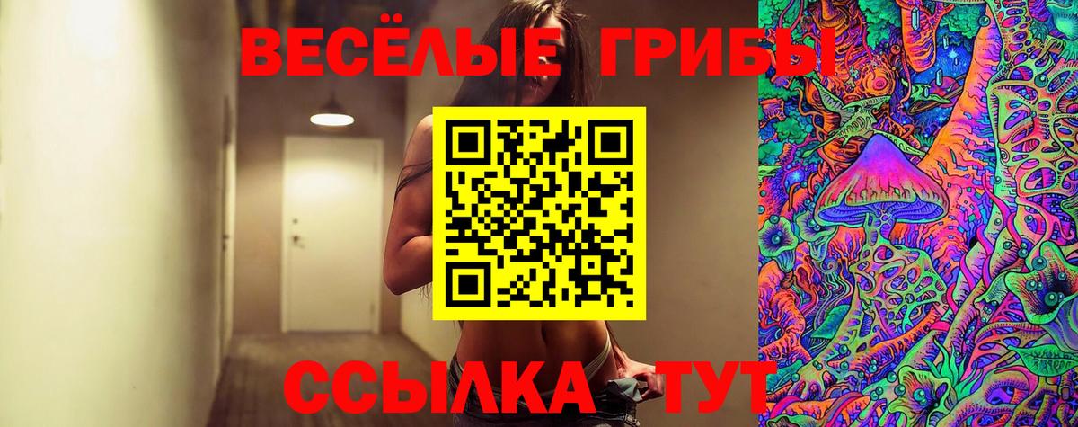 Галлюциногенные грибы Psilocybine cubensis  Псилоцибиновые грибы ЛСД  Железногорск  Вход с VPN 