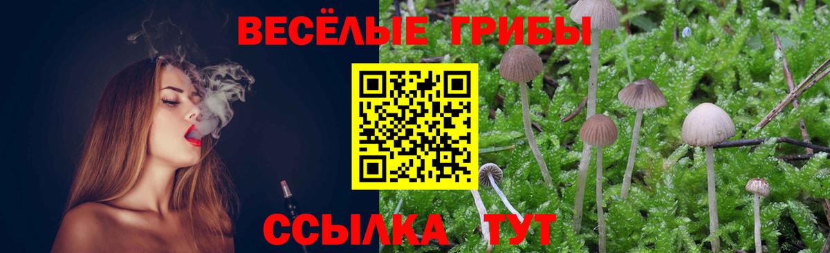 Псилоцибиновые грибы Magic Shrooms Железногорск